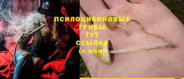 дживик Алексин