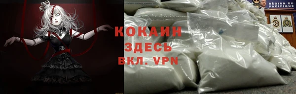 дживик Алексин